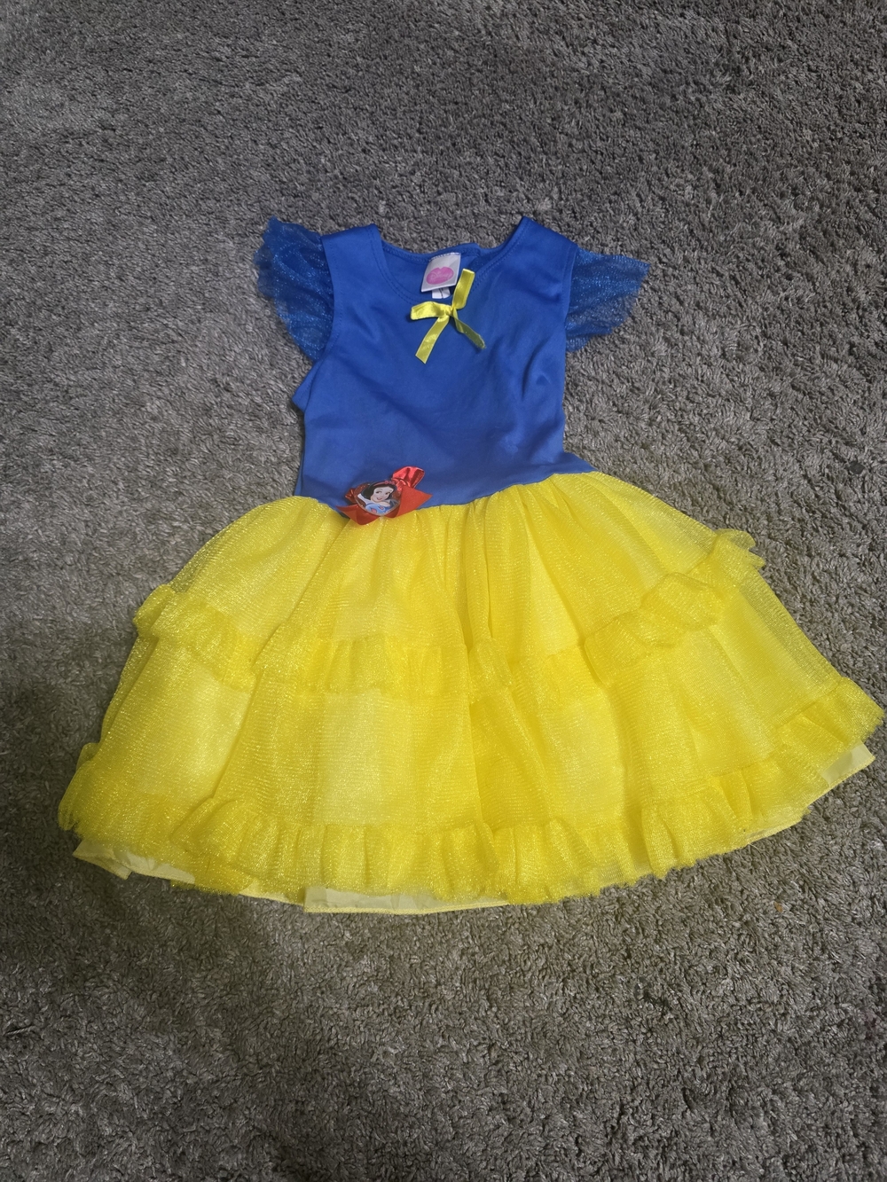 Disney Blue and Yellow Princess Tulle Dress Costume